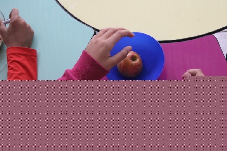 PNAE: 77% das entidades executoras declararam ter complementado o recurso