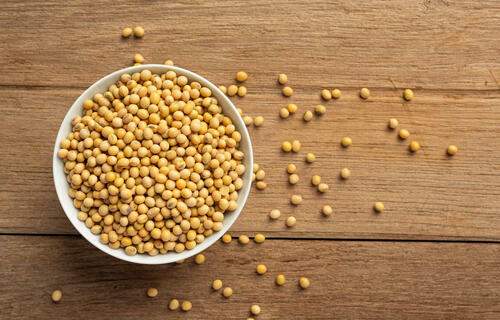 Preço da soja volta a cair