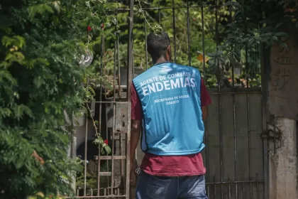 Arboviroses: previsões do MS apontam incidência elevada de casos em diversos para 2025