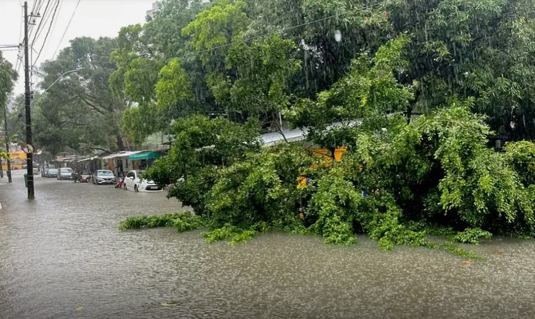 Chuvas: Defesa Civil Nacional reforça monitoramento no Nordeste