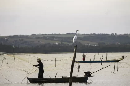Período de defeso na Bacia Hidrográfica do Rio Paraguai termina em 28 de fevereiro