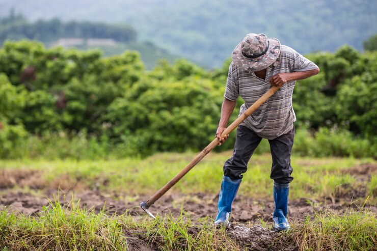 Agronegócio inicia 2025 com maior saldo de empregos formais desde 2022