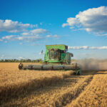 Agronegócio: safra de grãos 24/25 projeta recorde de 332,9 milhões de toneladas