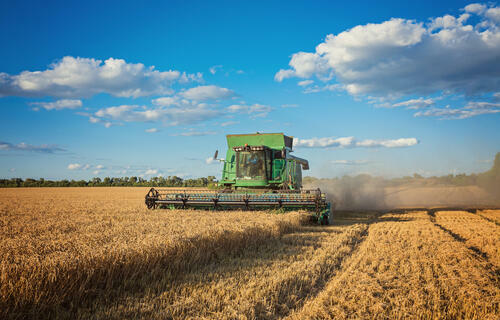 Agronegócio: safra de grãos 24/25 projeta recorde de 332,9 milhões de toneladas