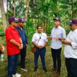 Amapá: Waldez Góes visita produtores de açaí e destaca importância do microcrédito