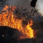 Bate-Papo com a Defesa Civil explica contratações emergenciais para enfrentar incêndios