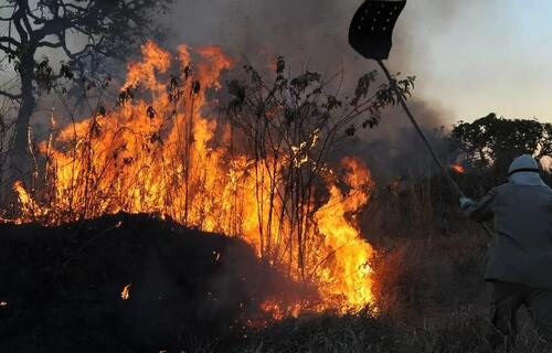 Bate-Papo com a Defesa Civil explica contratações emergenciais para enfrentar incêndios