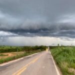 Ceará: apesar de chuva acima do normal no início do ano, produtor revela perdas no plantio