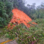Chuvas no Sudeste: atuação antecipada e Defesa Civil Alerta fortalecem resposta e protegem população