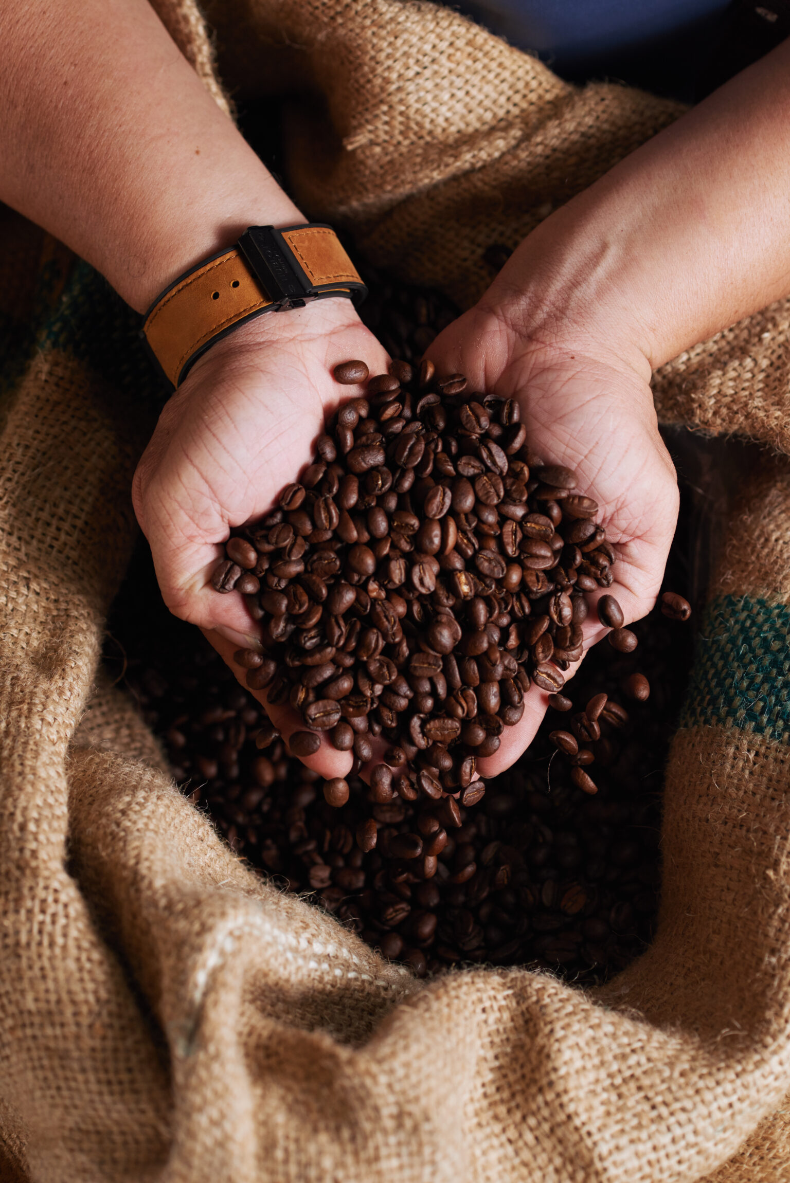 Cotações do café, açúcar e milho para esta quarta-feira (18)