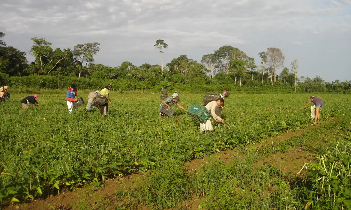 Crédito verde e agricultura familiar: Banco da Amazônia amplia apoio com R$ 2,5 bilhões em 2025
