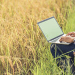 Curso de informática leva oportunidade e transformação à zona rural do Piauí