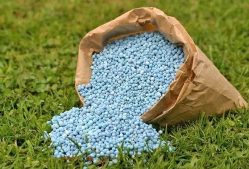 FERTILIZANTES: Produção de intermediários cai 12% no quadrimestre