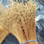 HISTÓRIAS EXPORTADORAS: artesanato feito a partir do capim-dourado leva produtos da Yetu Biojoias para Portugal