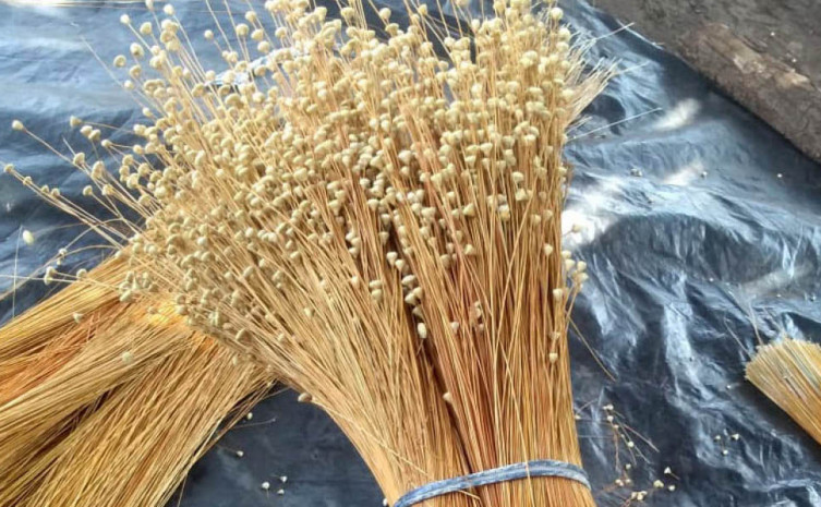 HISTÓRIAS EXPORTADORAS: artesanato feito a partir do capim-dourado leva produtos da Yetu Biojoias para Portugal