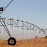 Incentivos fiscais impulsionam a produção agrícola irrigada