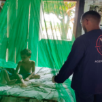 Malária em Roraima: 34,5 mil casos registrados em 2023