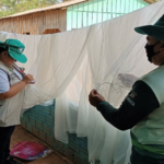 Malária no Amazonas: 58,5 mil casos registrados em 2023