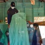 Malária no Pará: 23,6 mil casos registrados em 2023