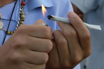 Mesmo em pequenas quantidades, maconha pode ser nociva para saúde e problema de segurança pública