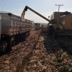 PIB cresce 1,4% puxado pela agropecuária