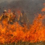 Política Nacional de Manejo Integrado do Fogo segue para sanção presidencial