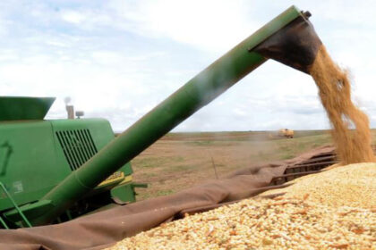 Preços da soja e do trigo estão em alta