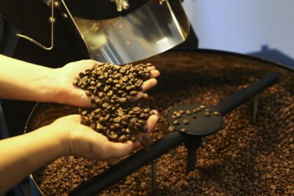Preços do café arábica e robusta caíram