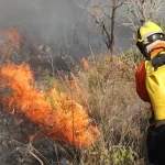 Projeto em tramitação no Congresso Nacional facilita ajuda em desastres climáticos e combate a incêndios florestais