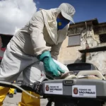 SÃO PAULO (SP): município registra quase 49,9 mil casos e 10 mortes por dengue em 2025