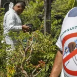 SÃO PAULO: estado registra 721 mil casos e mais de 600 óbitos por dengue em 2025