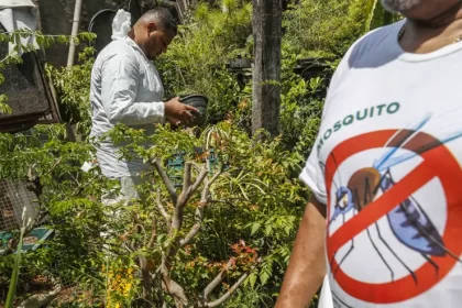 SÃO PAULO: estado registra 721 mil casos e mais de 600 óbitos por dengue em 2025