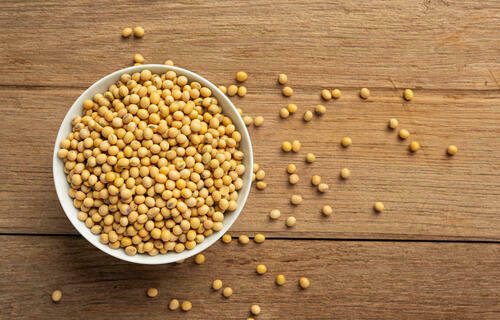 Semana começa com alta no preço da soja, no Paraná