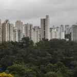 São Paulo lidera ranking de cidades brasileiras com maior intensidade de ligações empresariais