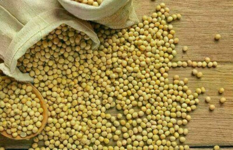 Soja e trigo registram redução nos preços, nesta segunda-feira (26)