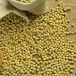 Soja e trigo sofrem queda nos preços, nesta sexta-feira (30)