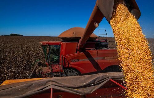 Tarifaço de Trump: cenário pode ser oportuno para exportações brasileiras de café e soja