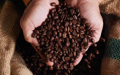 Café arábica tem alta no preço nesta sexta-feira (1º)
