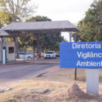 Casos de raiva em morcegos no DF são confirmados e esclarecidos por bióloga