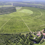 Dia do Agricultor: Polos de Agricultura Irrigada avançam e fortalecem o trabalho agrícola
