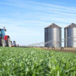 GO: Tarifaço dos EUA deve ocasionar queda de R$ 798 mi no PIB estadual; agroindústria, mineração e autopeças serão afetados