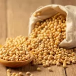 Preço da soja segue em alta no litoral do Paraná, nesta sexta-feira (11)