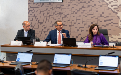 Waldez evidencia impacto do microcrédito em audiência no Senado