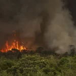 Brasil registra mais de 34 mil queimadas em 2025
