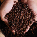 Café arábica tem alta no preço nesta sexta-feira (1º)