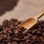 Café: semana começa com alta no preço