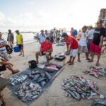 Impactos socioambientais e econômicos sem precedentes das mudanças climáticas na pesca devem gerar despesas bilionárias ao governo