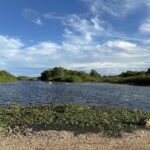 Velho Chico vence 412 km e chega para ficar no Rio Grande do Norte