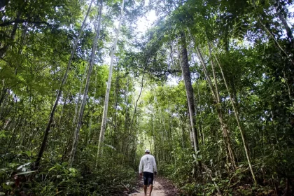 Brasil pode faturar até US$ 140 bilhões por ano com bioeconomia até 2032
