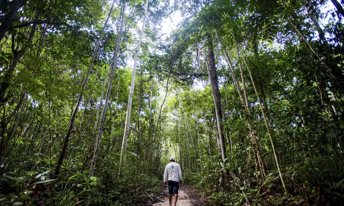 Brasil pode faturar até US$ 140 bilhões por ano com bioeconomia até 2032